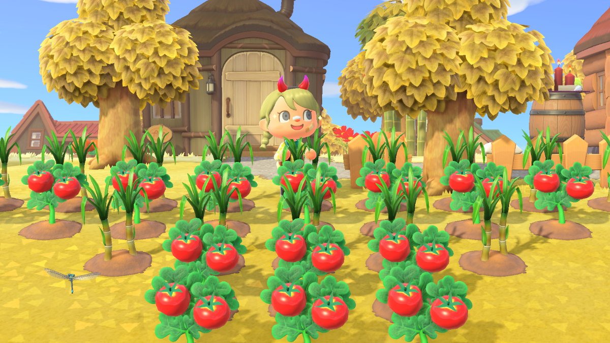ArielleACNH's tweet photo. #AnimalCrossing #ACNH #NintendoSwitch https://t.co/Wi5ELU2iYQ