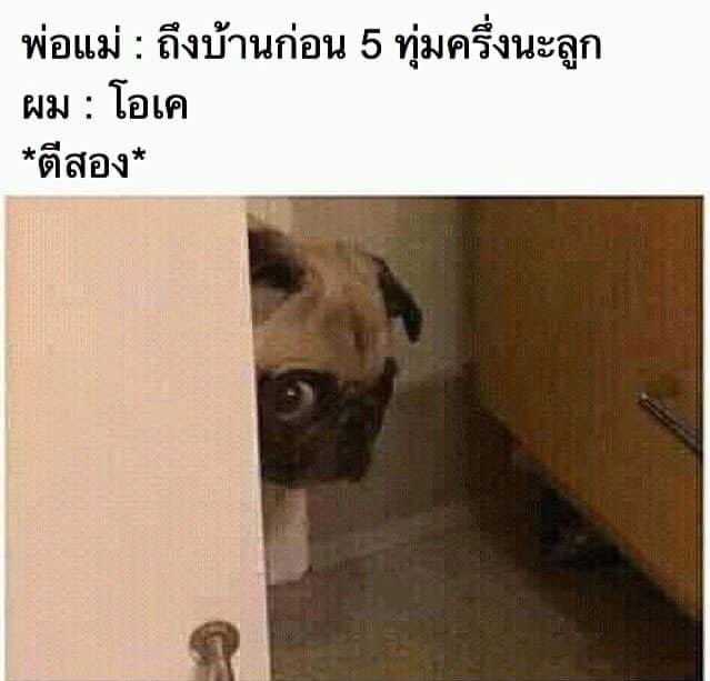 เลิ้ปตี๋โฟร์คิ้วท์ 🫠 tweet media