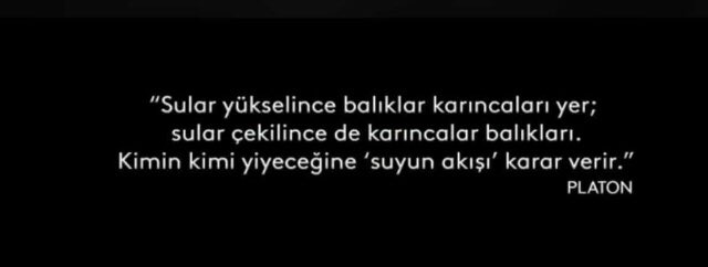 Deniz Yoldas (@denizm000) on Twitter photo 