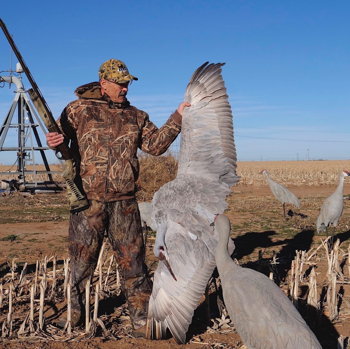 XposeTrophyHunt's tweet photo. Ron Spomer is very proud of the 6 foot wingspan greater sandhill crane he shot with the help of a dog, dog-handler, corn laid out &amp; plastic fake cranes stuck in the ground, so it seems safe to the birds passing above. You’re a real sportsman- NOT!😒
🙏🏼RT
#BanTrophyHunting https://t.co/AYo1aH1gnF