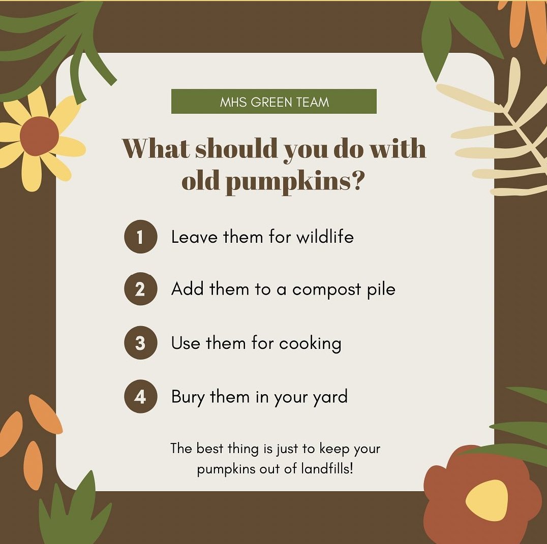 MHS_GreenTeam's tweet photo. Are you wondering what to do with your fall pumpkins on Dec 1st?

Many families throw theirs in the trash, leading them to rot in landfills where they release MASSIVE amounts of methane.

This year, consider taking a more eco-friendly approach with your pumpkins! 🎃 #FallBack https://t.co/UfeCejIAmO