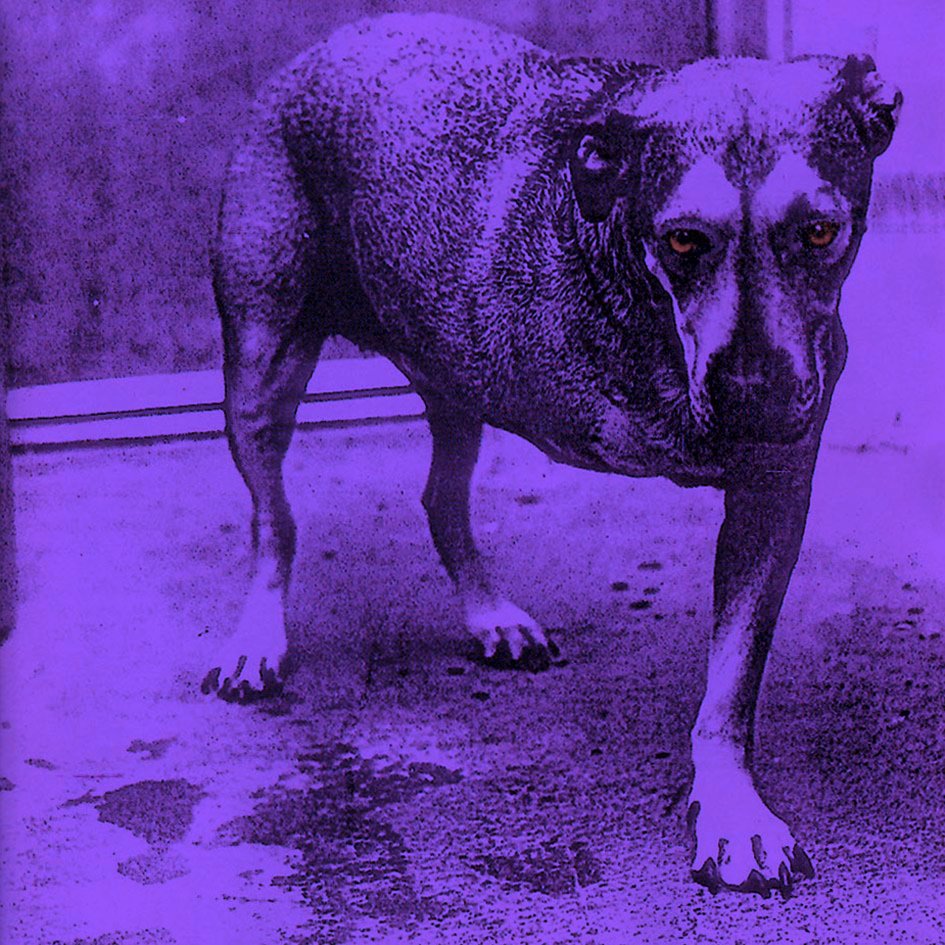 Revolvermag's tweet photo. On this date in 1995, @AliceInChains released their self-titled LP — their final album with the late, great Layne Staley. What's your favorite song on the grunge classic? https://t.co/htVUjC8Vr0