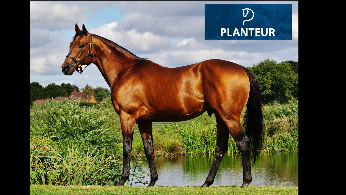 Planteur07's tweet photo. 🌟WINNER🌟

Palomina wins the Cena Firmy Accor S.R.O. at Kolesa for trainer Josef Vymazal and owners Stáj Sáňka-Vymazal.

Congratulations to all her connections. https://t.co/KLZkq5iOhl