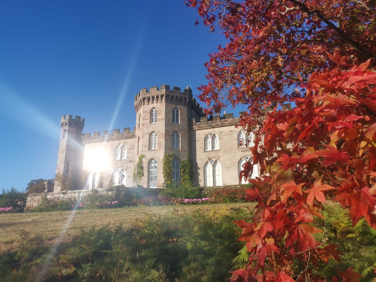 CholmondeleyCas's tweet photo. Being in the right place at the right time can get you the most fantastic pic!
Karl managed to capture this beauty!
#sunreflections #cholmondeleycastle #autumnvibes https://t.co/SGNEsvNUPe