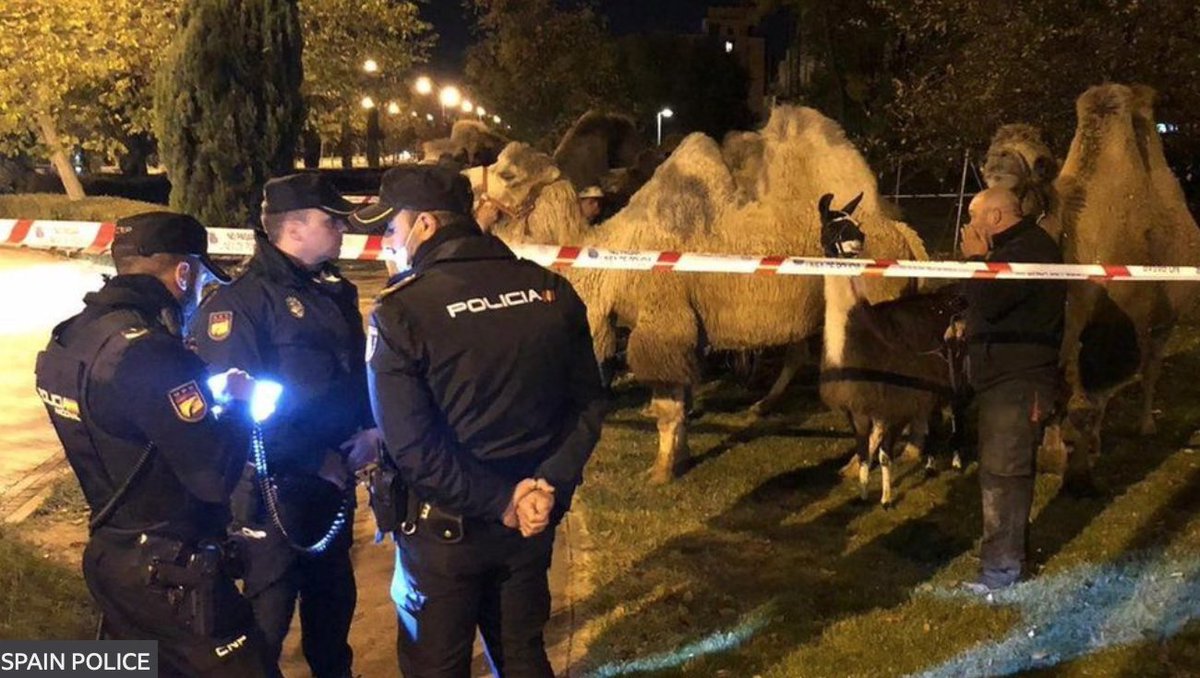 Michael J.Steed tweet media