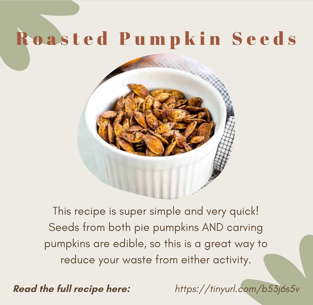 MHS_GreenTeam's tweet photo. Moving towards the winter months, many families will start to get rid of their pumpkins. If you’re looking for a fun way to keep your pumpkins out of the trash and reuse them, try these recipes! #zerowaste #ecofriendly #FallBack #pumpkin https://t.co/70u9ZzW6PM