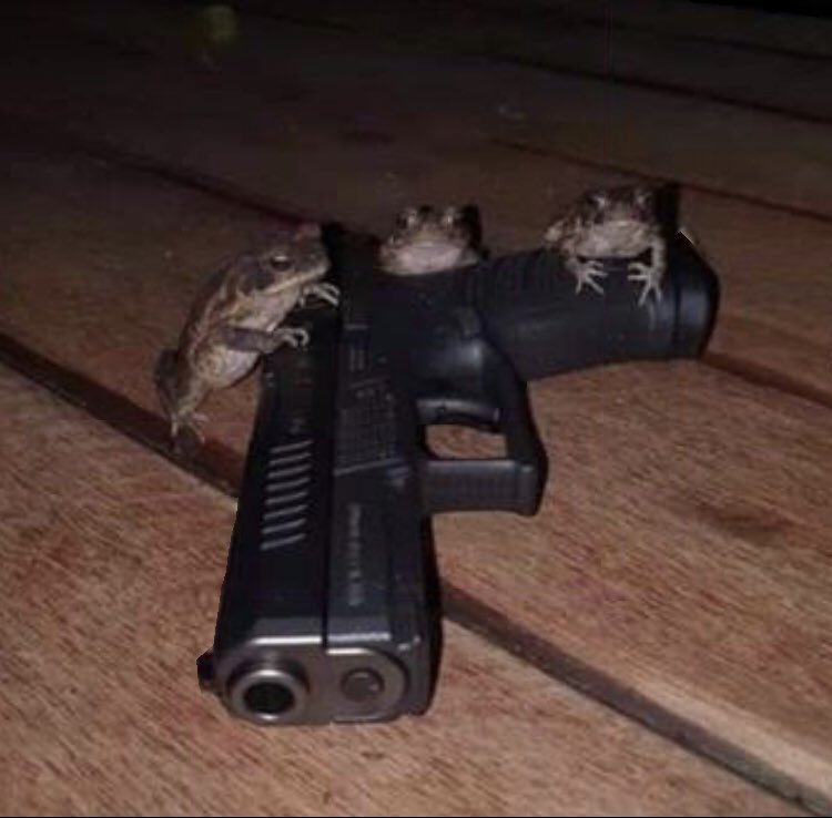 dreamie 🪴 tweet media