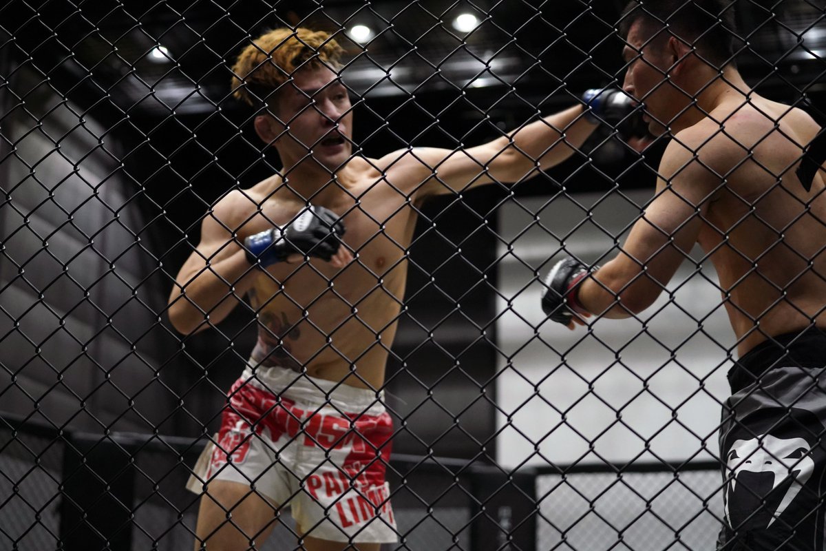 Gigio_jp's tweet photo. プロ修斗香川大会 FORCE 14
［第5試合］フェザー級（65.8kg）5分2R
藤川 智史（愛媛/総合格闘技道場ARMS）
國頭　武（広島/総合格闘技道場BURST）
#shooto1107 #FORCE14 https://t.co/apHqmEutCT