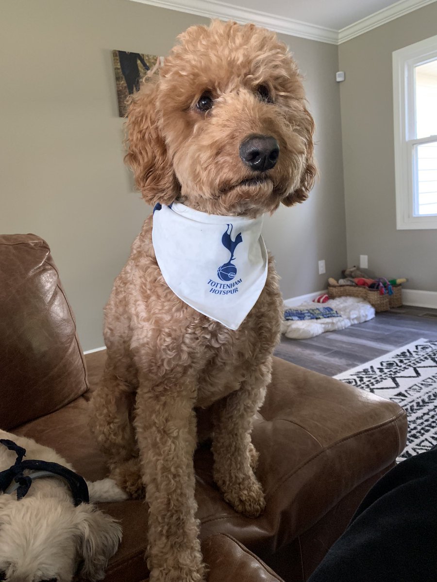 HannahZingale's tweet photo. #MyPLMorning #COYS https://t.co/LRrCqkgTnf