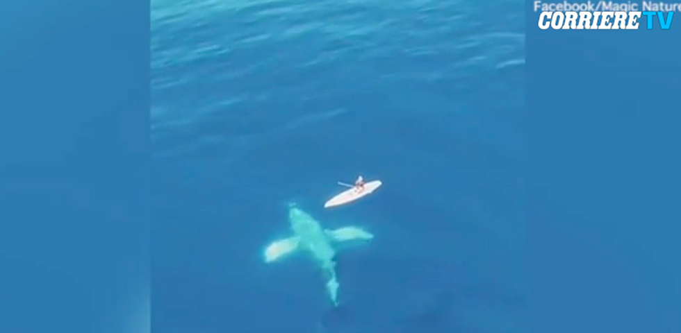 zazoomblog's tweet image. Dai post su Instagram ai dati diffusi dalle associazioni la cosiddetta vanlife conquistan sempre più adepti. Affrontarla seriamente però non è così semplice. Ecco chi ce lha fatta - #Instagram #diffusi #dalle zazoom.it/2021-11-07/dai…