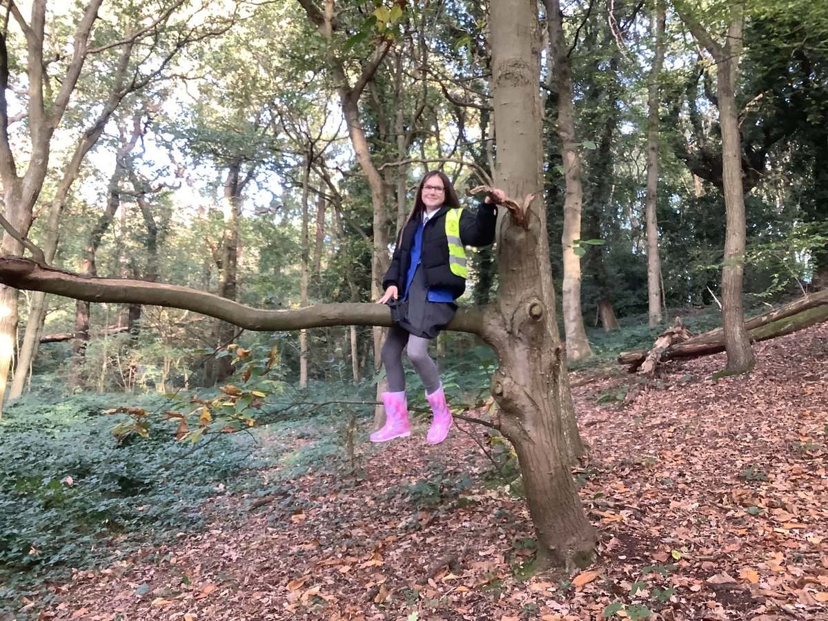 Outdoor Learning tweet media