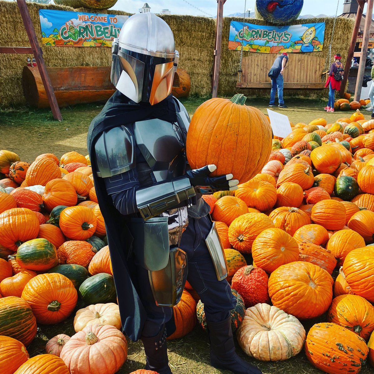 DinDaddymando's tweet photo. Happy fall y’all! 🍁🍂🎃
#TheMandalorian #StarWars #DinDjarin #mando #mommyblog #daddymando @PedroPascal1 https://t.co/scK92r1P0d