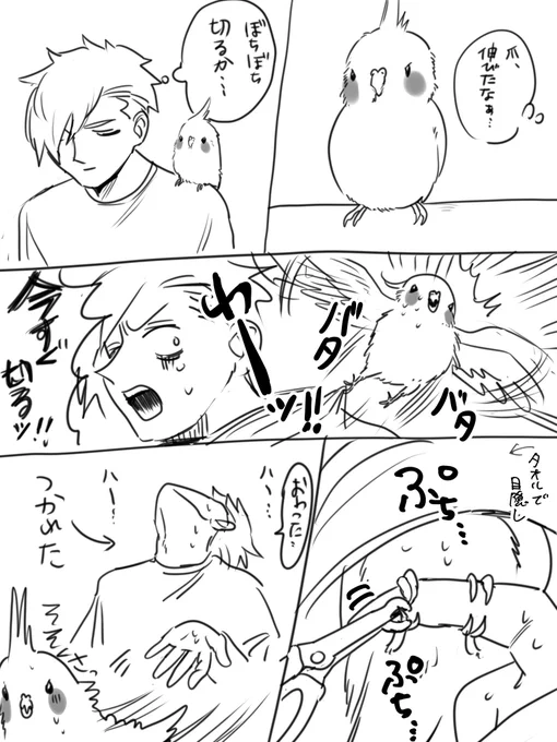 爪を切ってあげた日記 