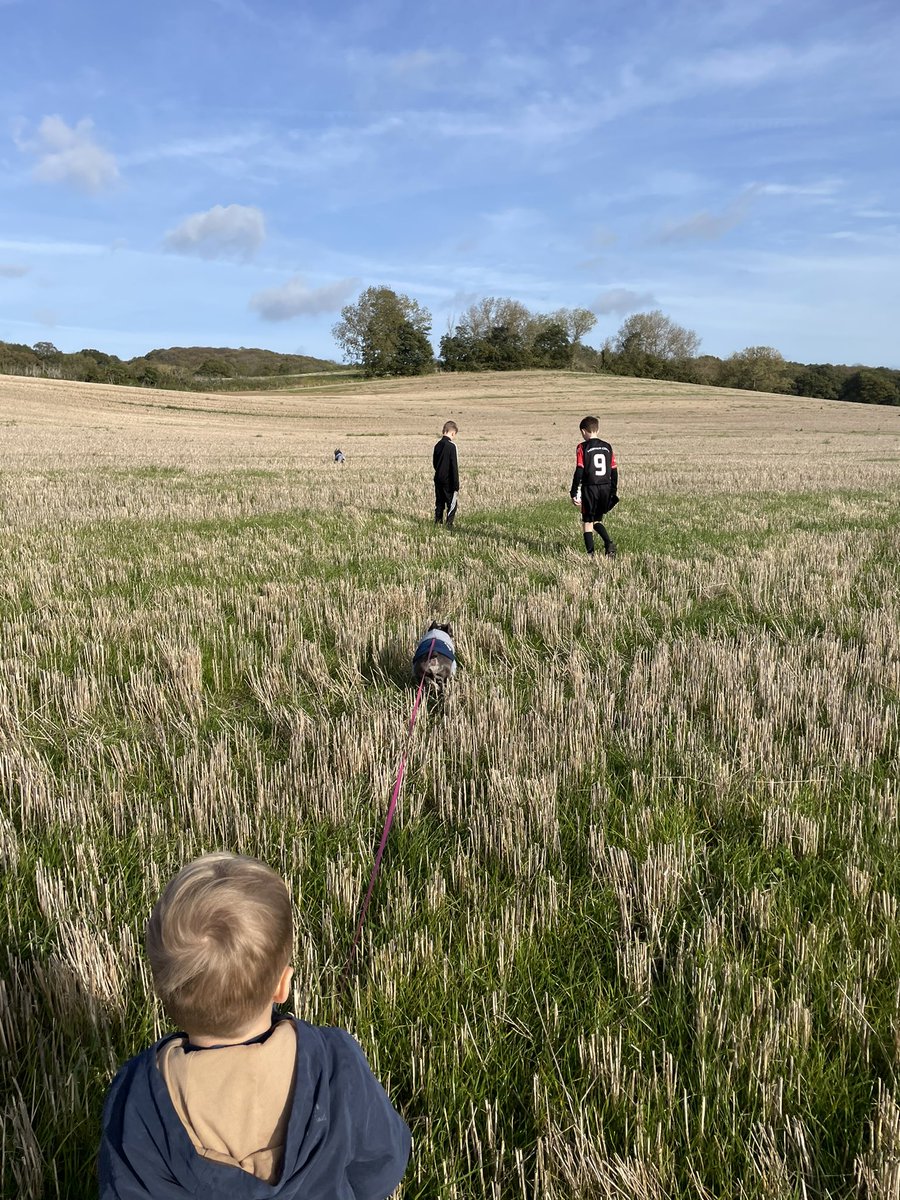 coco_th's tweet image. Can you spot me in the field?? 🤪 I was running so fast 💨 &amp;amp; then taking a nap after my #fieldfun 😍😴