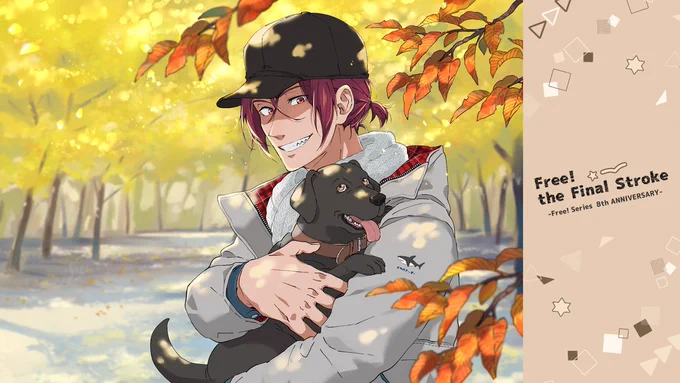 🦈🐾 