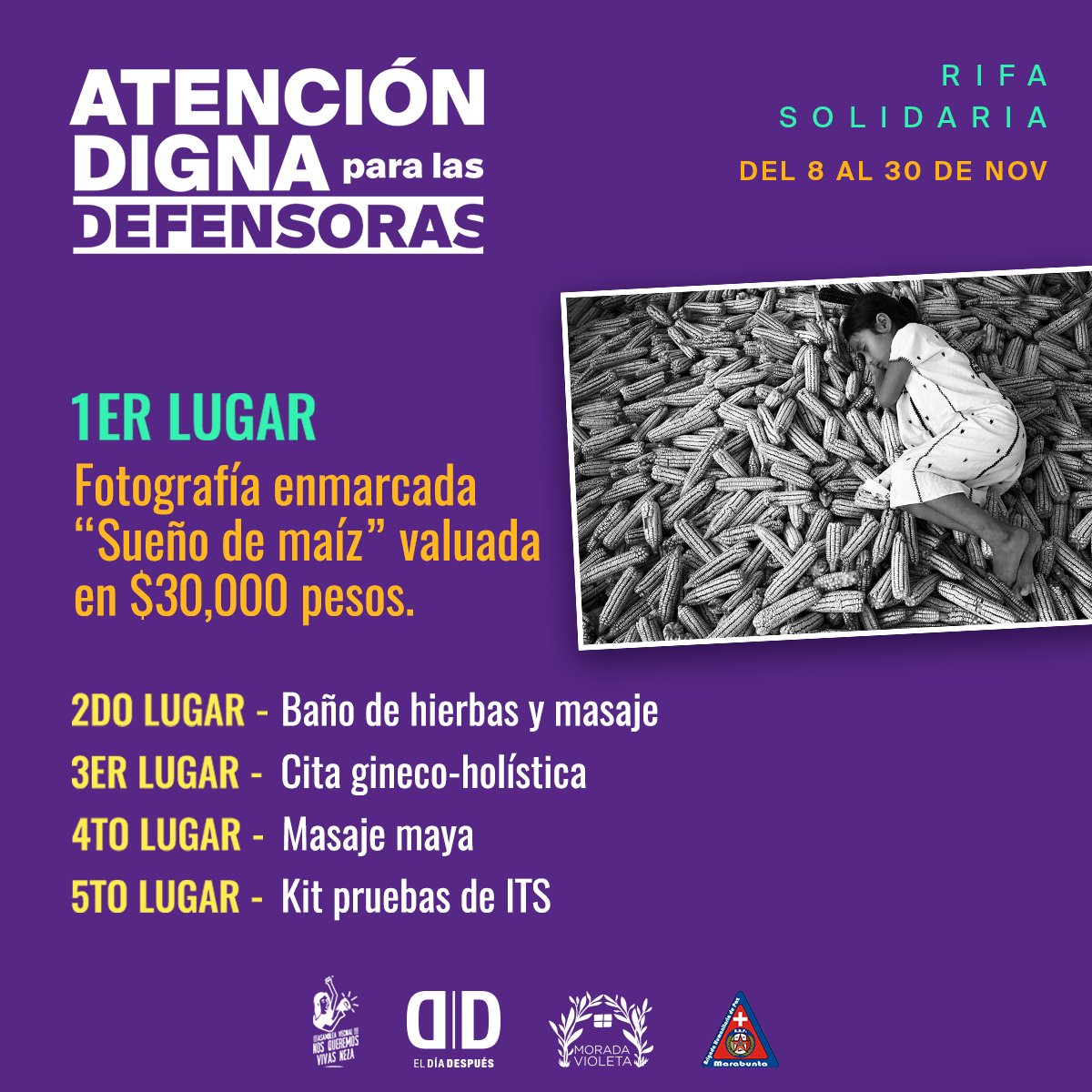 moradavioletamx's tweet photo. Las mujeres defensoras nos necesitan. Desde @moradavioletamx en alianza con @eldiadespuesmx lanzamos esta rifa solidaria para las morras de @VivasNeza y @BrigadaMarabunt
Compra tus boletos en esta liga 👉🏽 https://t.co/PxrcDD64rO
#DefenderALasDefensoras #25N" https://t.co/TvhFqu31Sn