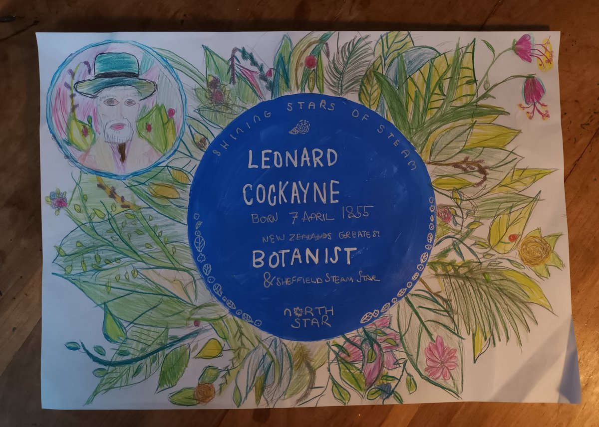 DrNickHarris's tweet photo. Leonard Cockayne, New Zealand's greatest Botanist and founder of NZ modern science, Born 7 April, 1855 Norton Lees Sheffield. #northstar2021 #shiningstarsofsteam. Suki Y5 from #WestwaysPrimary getting inspiration from #Sheffield scientists https://t.co/Xb0hRnEaAI