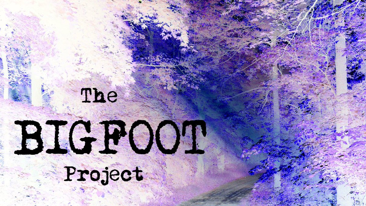 CCCryptozoology's tweet photo. Crash-Course Cryptozoology has had the wonderful opportunity to review episode one of Small Town Monster's "The Bigfoot Project"!
People hoping to see what it looks like when someone encounters something beyond most conventional explanation will certainly not be disappointed. https://t.co/b5fbSmmMKm