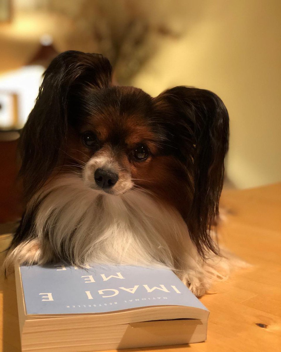 Equanimity tweet media