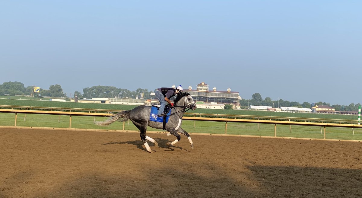 KyHBPA's tweet photo. Proud to call @korearacing's KNICKS GO an @EllisParkRacing product! @Longines @BreedersCup Classic champ &amp; Horse of Year 2B won 2018 debut at EP, was 2nd in '19 EP Derby and spent much of summer training w @JorgitoAbrego at the #PeaPatch for @bradcoxracing @TracksideJennie pic https://t.co/L2tEjEI3uE