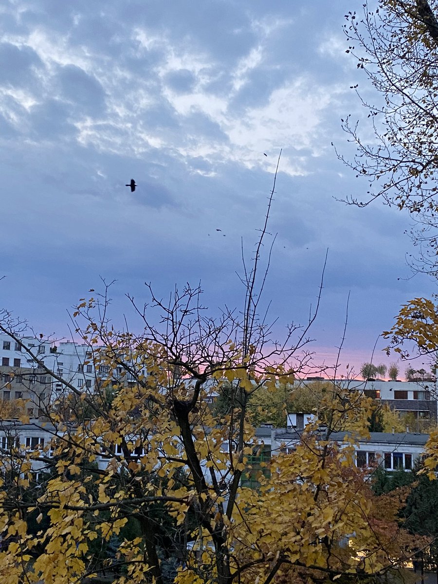 vanitesfaye's tweet image. quote with a photo that you took which contains no people and no words. let’s make a thread of calm