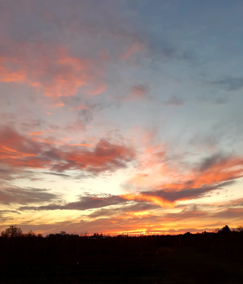 Dean Maahs tweet media