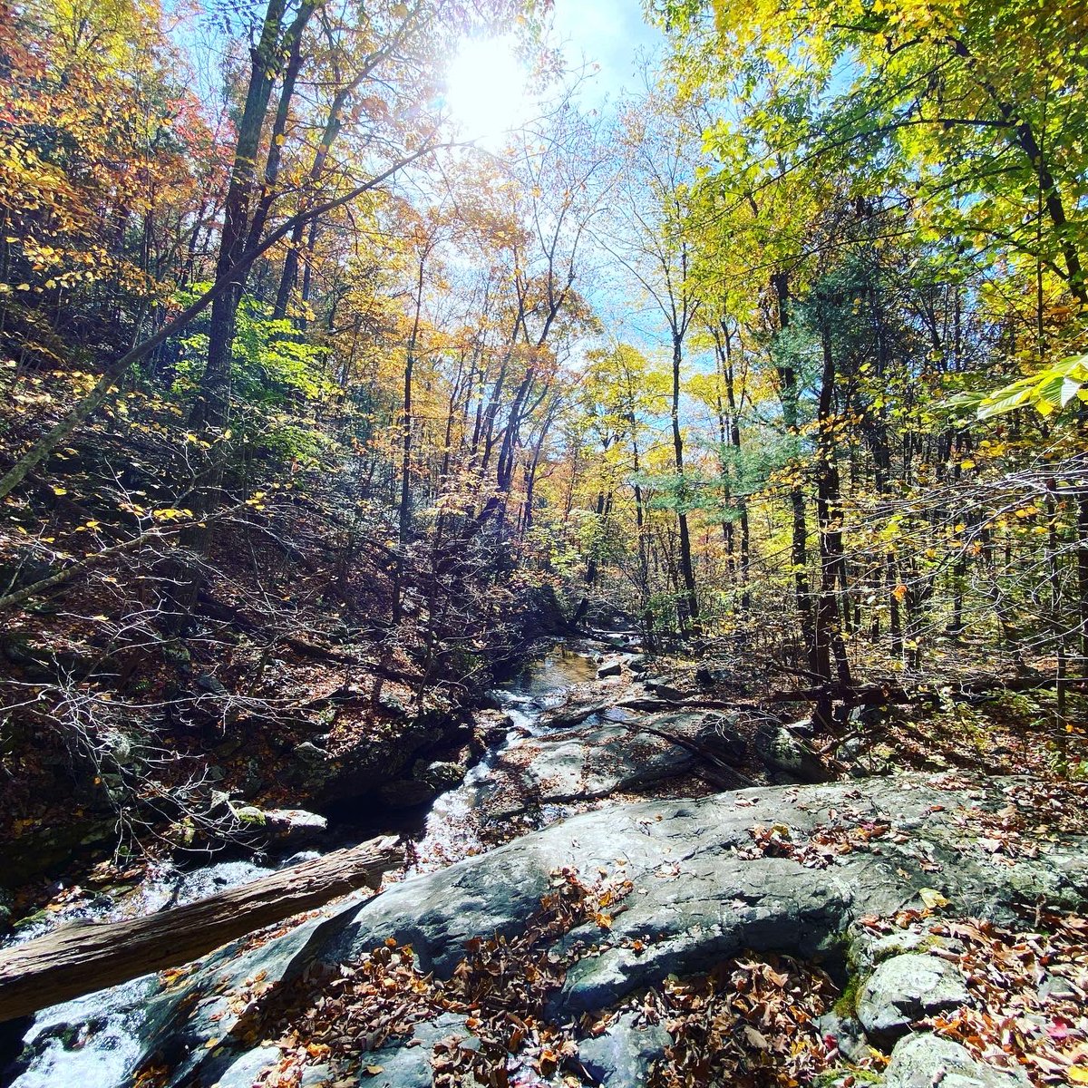 barrett_colombo's tweet photo. #blueridgemountains #appalachianautumn #whiterockfalls https://t.co/dqT6CvDI4d