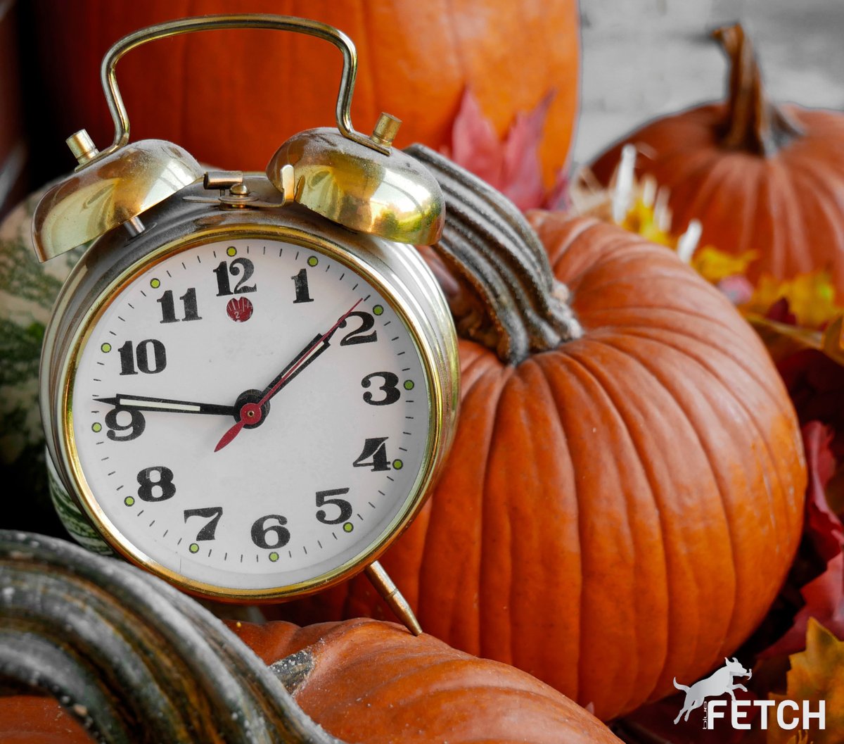 Don't forget to set your clocks back tonight! By using Blue Fetch to deliver all your construction materials you can gain even more time as well! #BlueFetch #FetchitFast #FallBack #daylightsavings2021