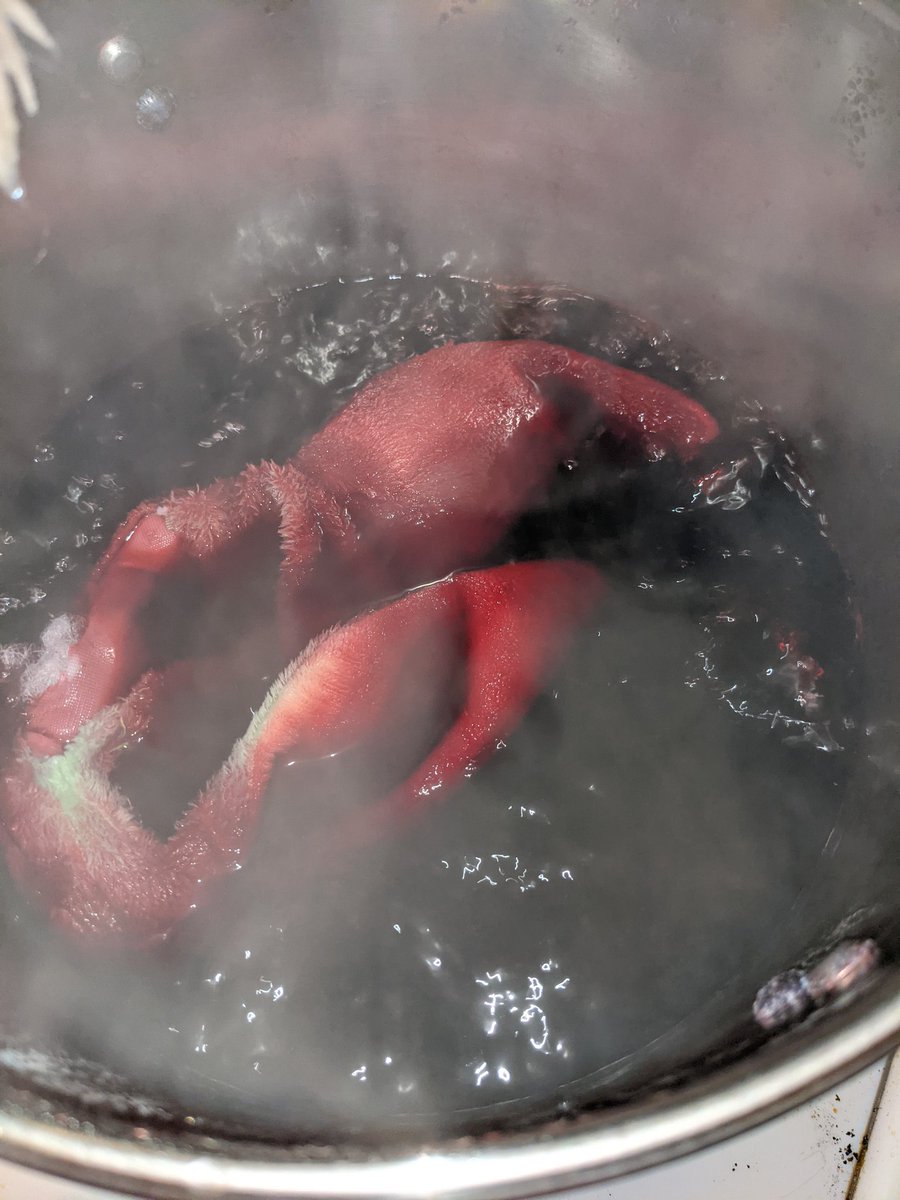 GabbisCustoms's tweet photo. I always feel like a mad scientist or a witch at the dye pot! Currently working on a Grogu as Darth Maul for a commission! I call him Darth Grogu! #SmallBusiness #Commission #StarWars #Grogu #BabyYoda #DarthMaul #buildabear https://t.co/Erda5j7iX8