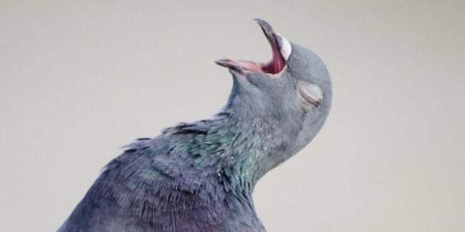 Phori umuntu wakho ufun uTumelooo