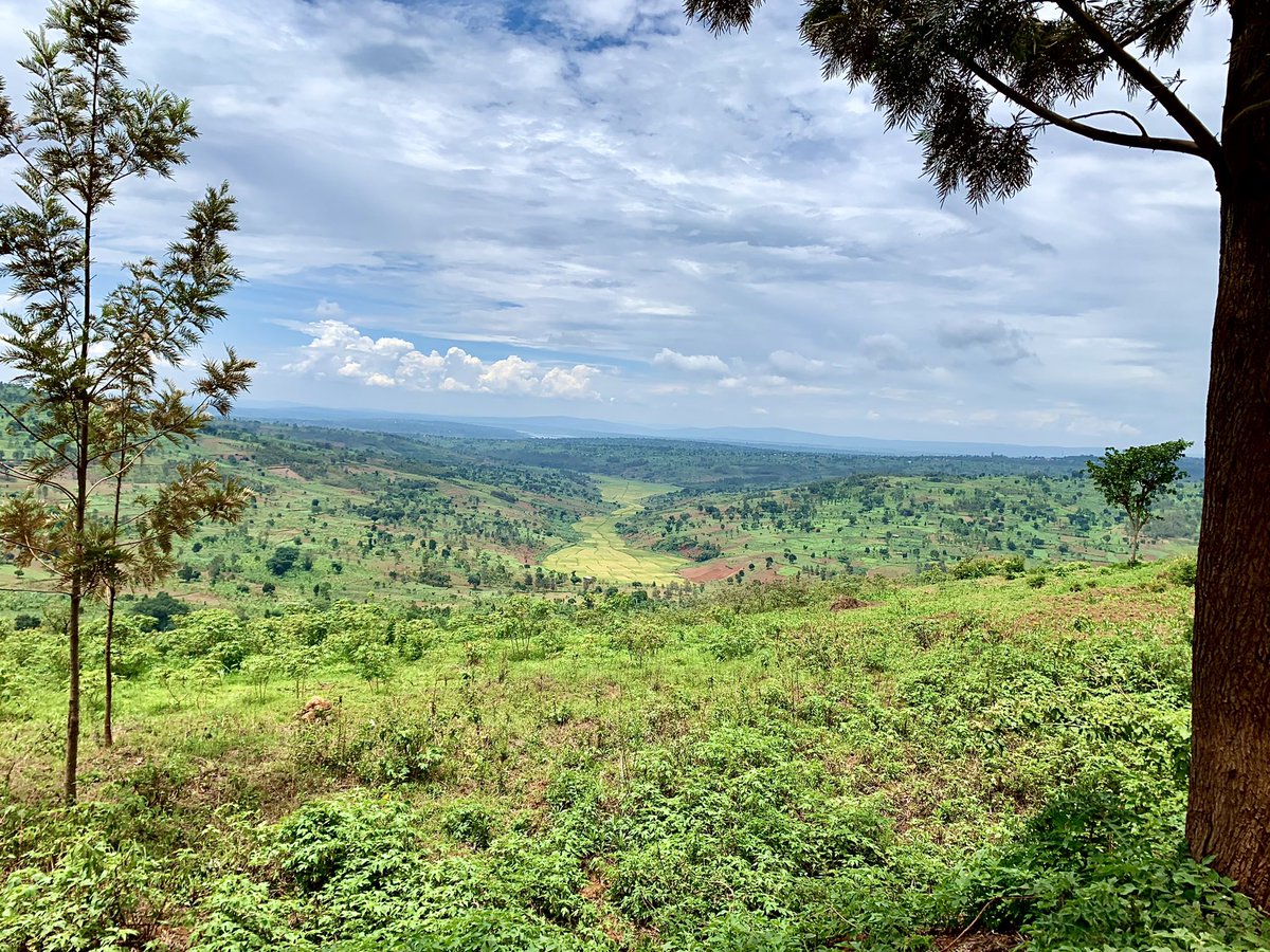 ExploreZaneNel's tweet photo. Absolutely loving every moment. 

I’m inspired by Rwanda as a nation. They’ve seen great difficulty but through it all they kept their Faith in Jesus and decided to grow as a nation. How awesome is that…

Such a privilege to witness all of this.

@visitrwanda_now @PaulKagame https://t.co/7MKeSfMI6q