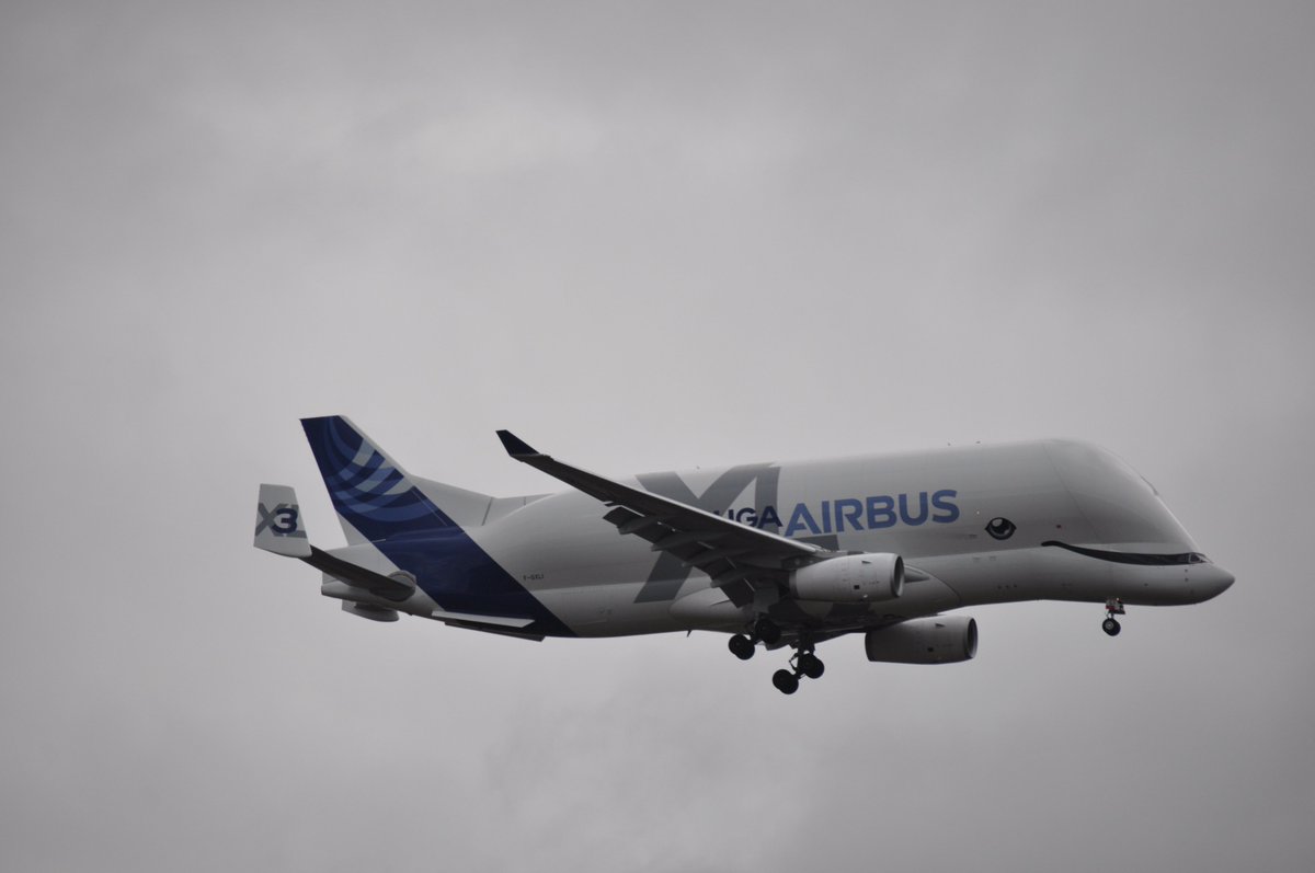 LEBB'spotting tweet media