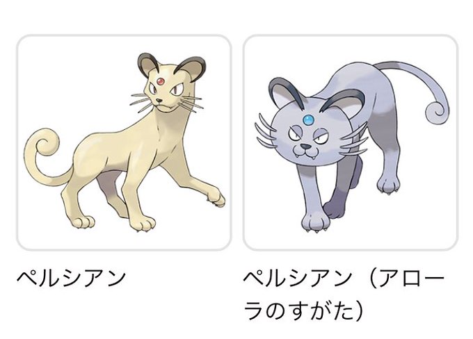 ペルシアン の評価や評判 感想など みんなの反応を1週間ごとにまとめて紹介 ついラン