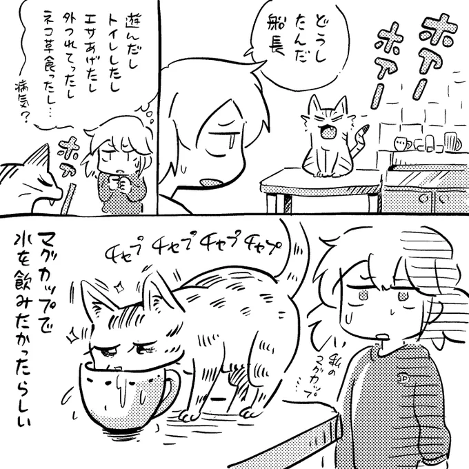 わがまま船長 #フナヤマ船長 