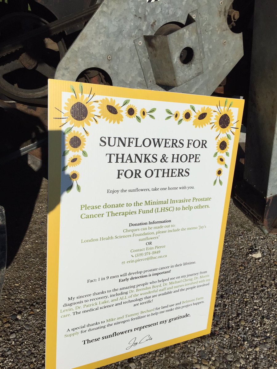 Jay Curtis Golf Savant level 3 tweet media