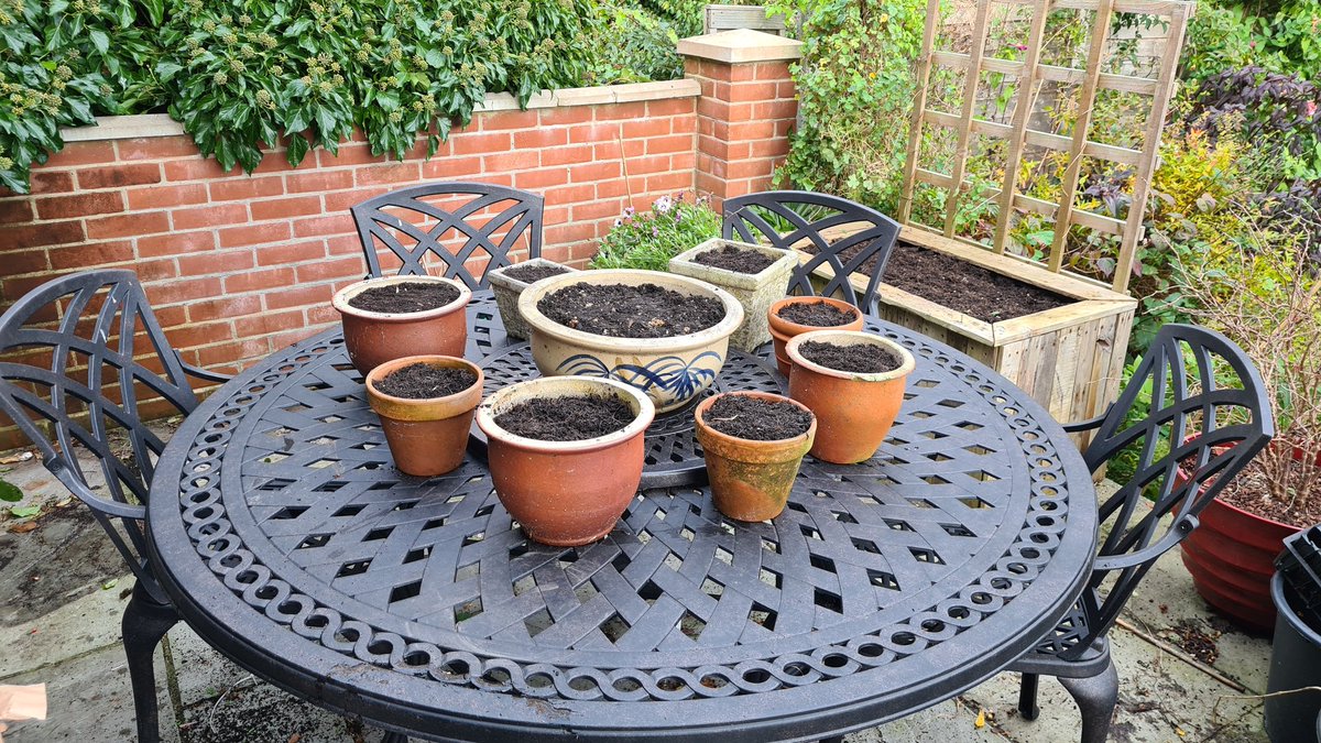cavershamjj's tweet photo. I might not have chosen these pots for this purpose, but they're what I have to hand. Mostly daffs, some crocus that I found already in one of these pots. #bulbageddon https://t.co/TSVLK3SpOI