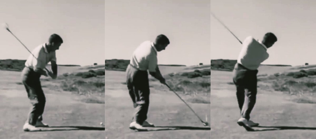 doglegpar3's tweet photo. Thomson https://t.co/AiW6MVLp0v