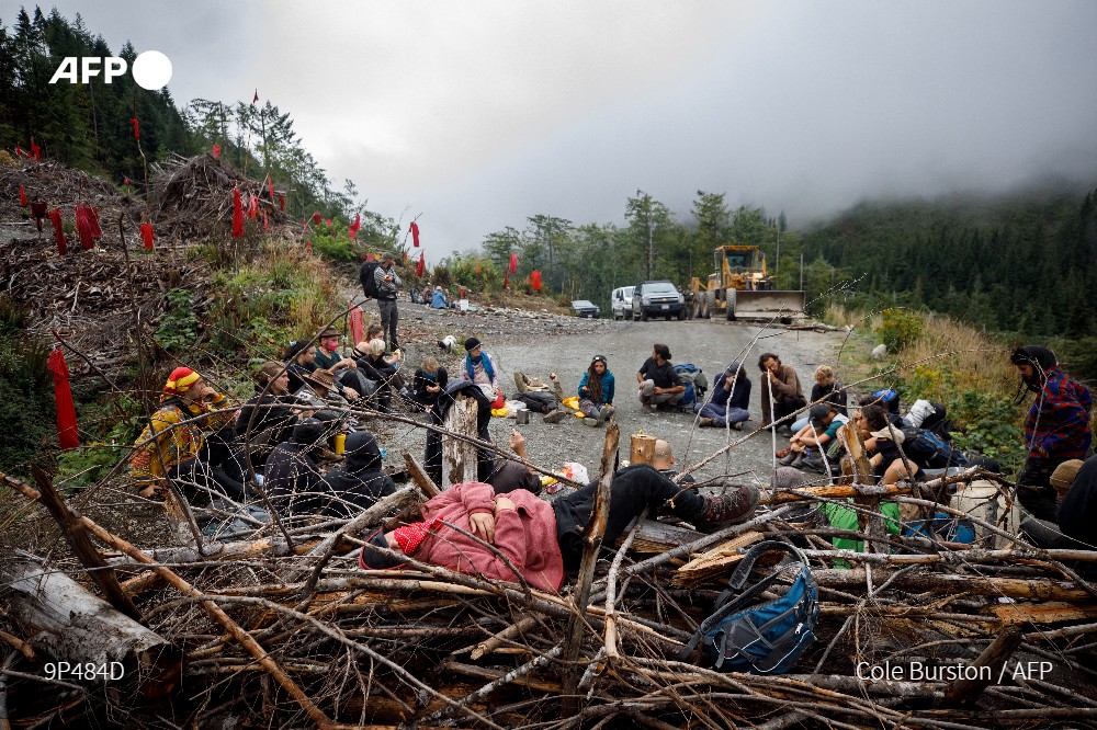 afpfr's tweet photo. 🇨🇦 Ils ont construit des barricades, creusé des tranchées, installé des campements: sur l'île de Vancouver, des centaines de Canadiens se relaient depuis plus d'un an pour bloquer l'accès à une forêt dite ancienne et ainsi empêcher la coupe de ses arbres pluricentenaires #AFP 1/5 https://t.co/SFDYqEj5wH