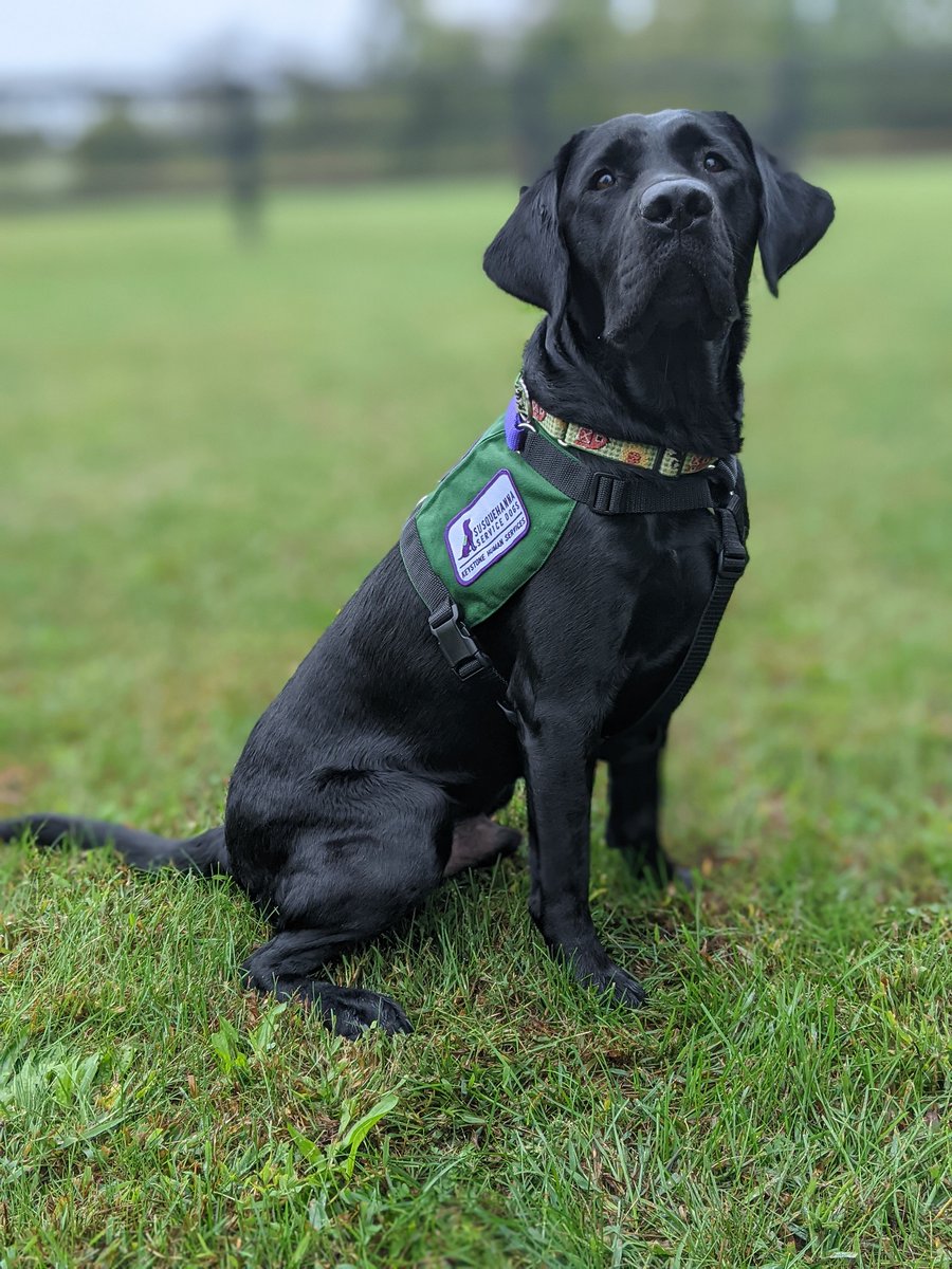 Dr. Michele M. Orner (Archived) tweet media