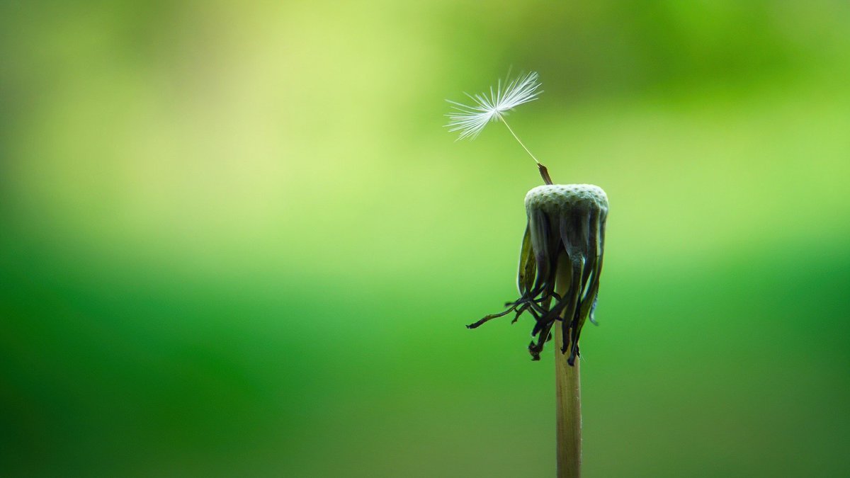 Oracy Cambridge (@oracycambridge) on Twitter photo 📢 NEW BLOG! 📢
The hopefulness of teaching for dialogue, by Neil Phillipson <a href="/Phillipson70/">Neil Phillipson 🇺🇦</a>
"It offers them a way of becoming more connected with the world – having a feeling of being in it rather than being a helpless observer of it. It offers hope."
oracycambridge.org/hope-dialogue/ 📢 NEW BLOG! 📢
The hopefulness of teaching for dialogue, by Neil Phillipson <a href="/Phillipson70/">Neil Phillipson 🇺🇦</a>
"It offers them a way of becoming more connected with the world – having a feeling of being in it rather than being a helpless observer of it. It offers hope."
oracycambridge.org/hope-dialogue/