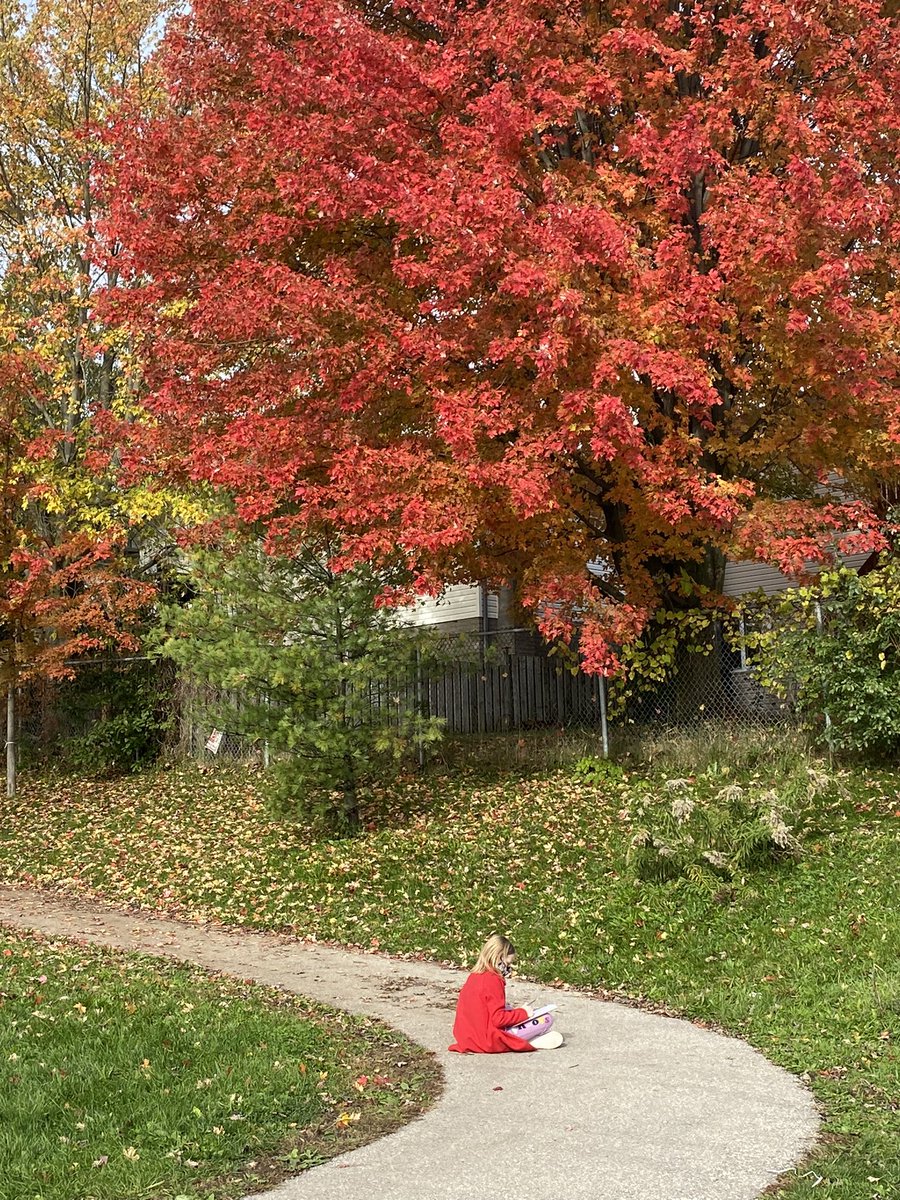 beverms1's tweet photo. @silwrdsb Sketching our Fall trees https://t.co/kCaPOlZUoy