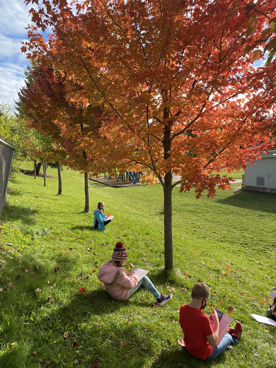 beverms1's tweet photo. @silwrdsb Sketching our Fall trees https://t.co/kCaPOlZUoy