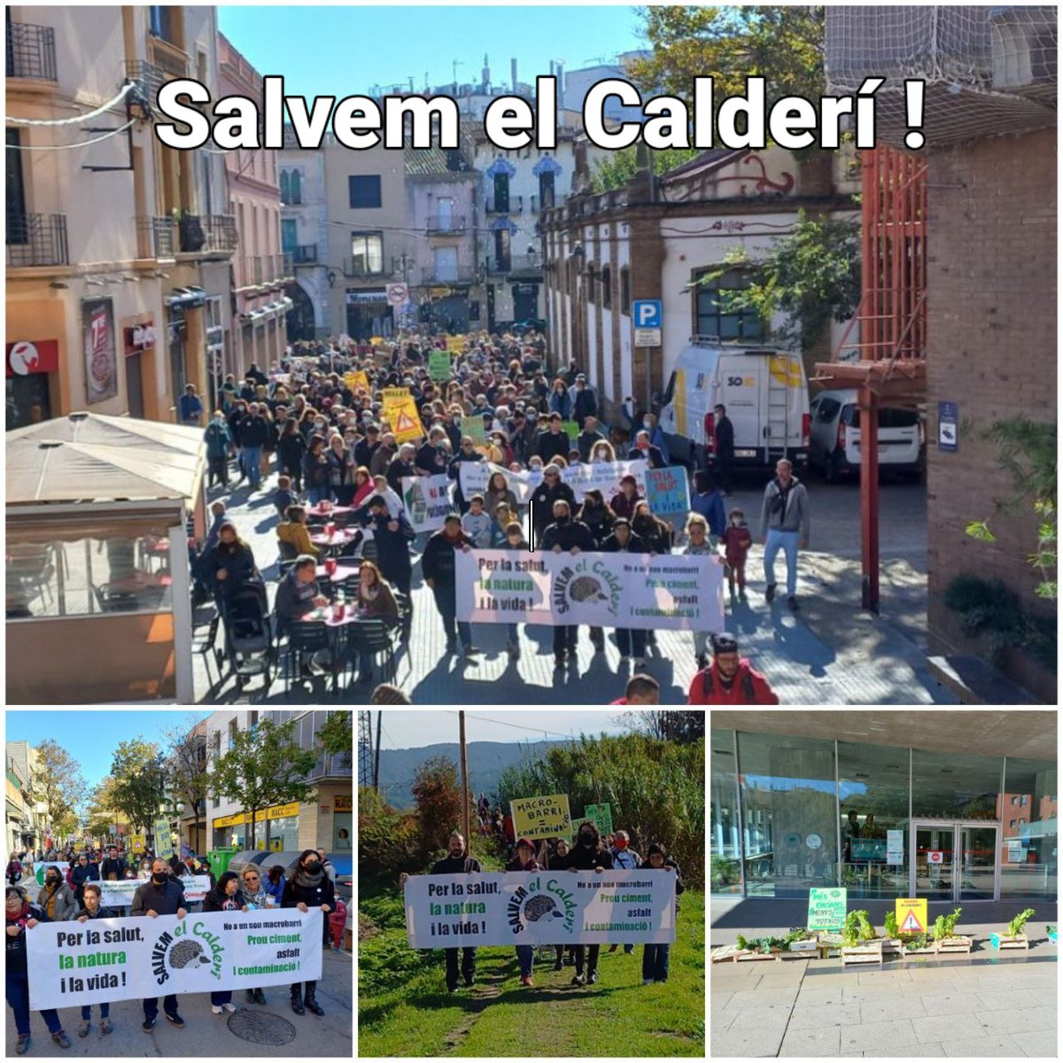 🌾 Gran èxit de la mani d'avui a #Mollet per salvar  l'espai agrícola del  Calderí !

🌻Moltes gràcies i abraçades als col.lectius, entitats, organitzacions i companyes i companys per sembrar amb nosaltres els carrers amb la llavor de la resposta popular.
El Calderí es defensa !
