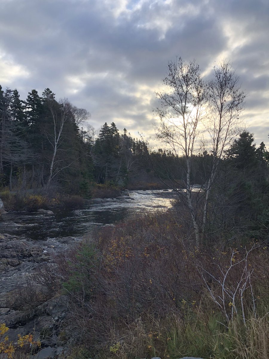 Beautiful morning for #giverontheriver! Great turnout again this year 🏃🏻‍♀️🏃🏻‍♂️ <a href="/ManuelsRiver/">Manuels River</a> <a href="/TownofCBS/">Conception Bay South</a>