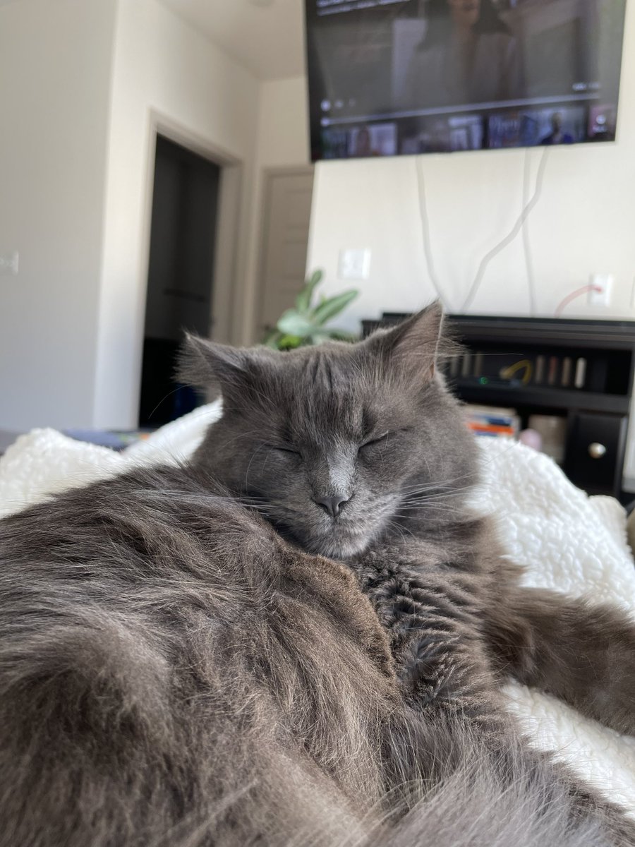 Bre Wiseman tweet media