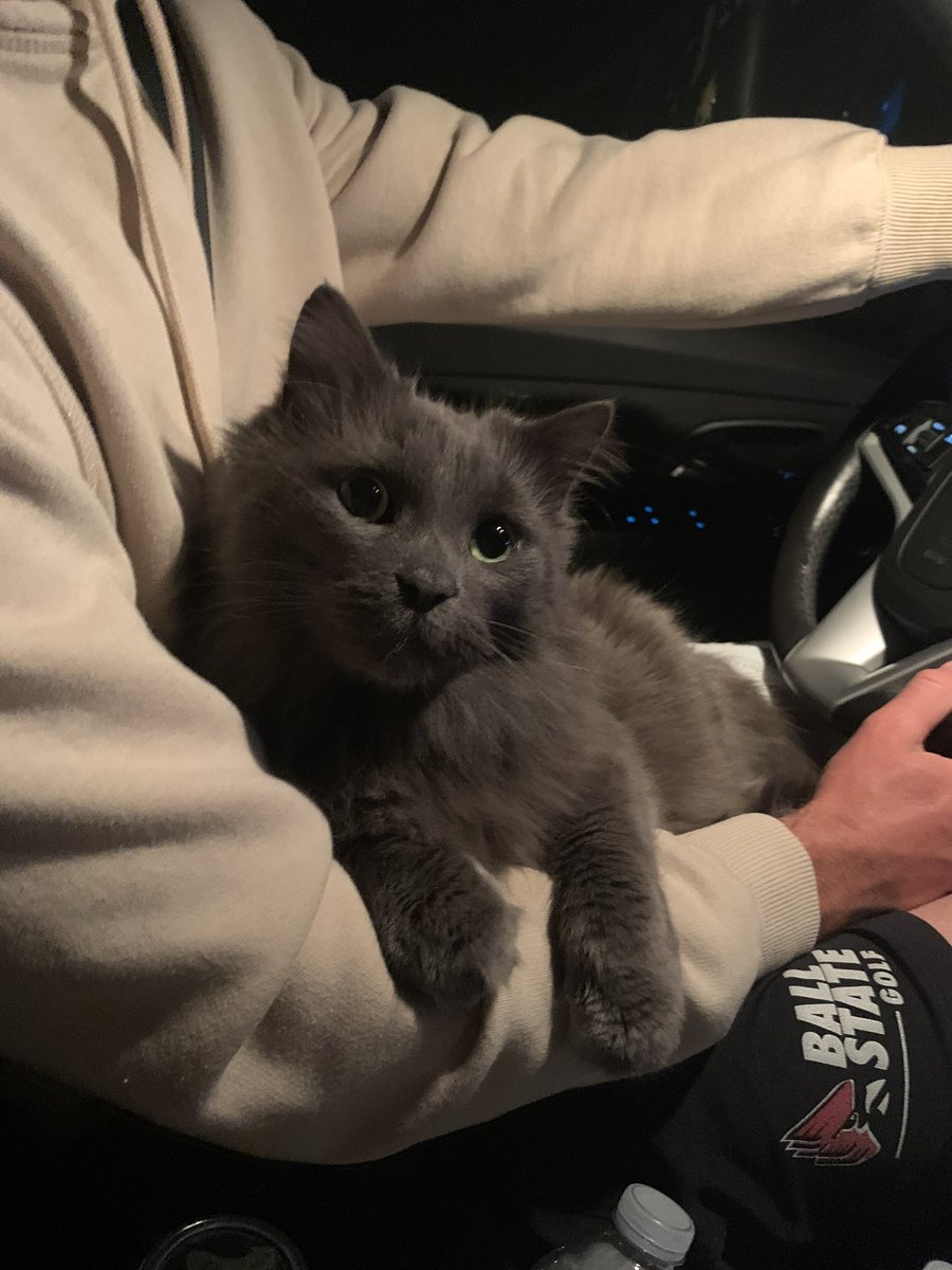 Bre Wiseman tweet media