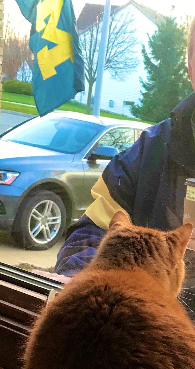 Happy guys this morning for different reasons.  #GoBlue #CatsOfTwitter #SundayFunday