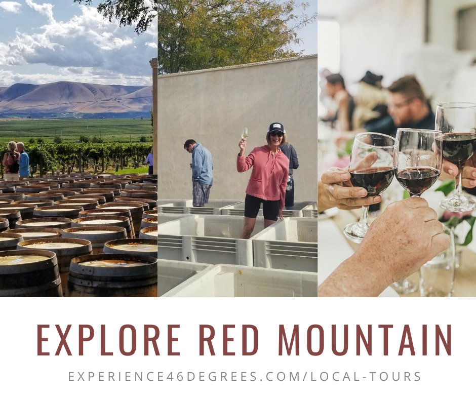 Experience46D's tweet photo. Red Mountain was highlighted in July 2021 SIP Magazine!  Find out why - spend a day exploring this AVA
https://t.co/bYNNxkBmT1

#wawine #washingtonwine #tricitieswa #tricities #winetasting #winelovers #bourdeaux #cabsauv #syrah https://t.co/jgbRgKsYou