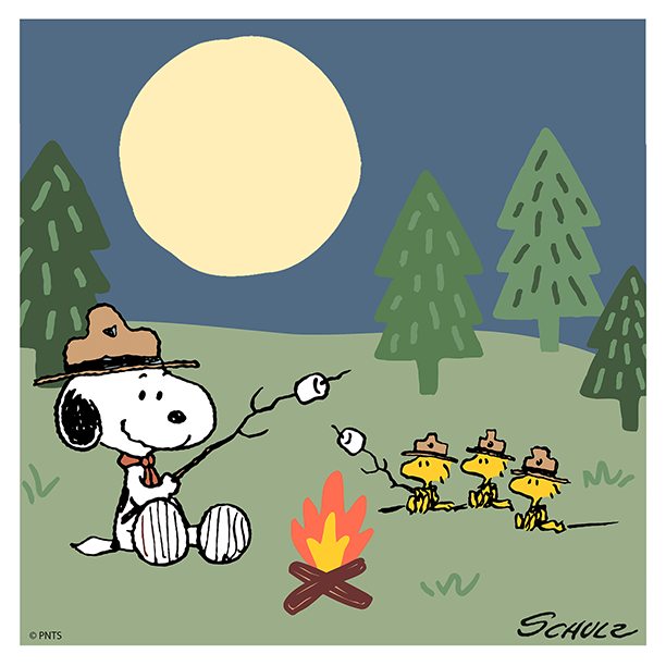 PEANUTS on Twitter: "Happiness is a campfire in autumn! What's your favorite camping activity? https://t.co/288h7Meuou" / Twitter