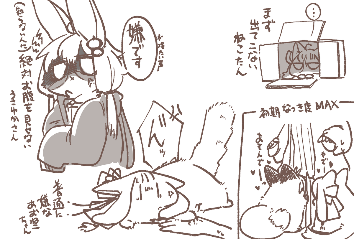 おまけ。知らない人にはおなか見せたくないし触らせてくれない子 